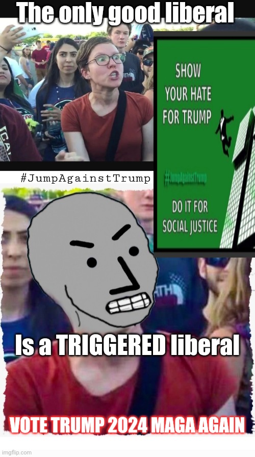 Vote Trump / Marjorie Taylor Greene = Winning Ticket 2024 | The only good liberal; #JumpAgainstTrump; Is a TRIGGERED liberal; VOTE TRUMP 2024 MAGA AGAIN | image tagged in libtards,finished,vote,republican party,save,america | made w/ Imgflip meme maker