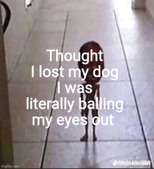 If I actually lost him I would have just kms no joke. | Thought I lost my dog I was literally balling my eyes out | made w/ Imgflip meme maker