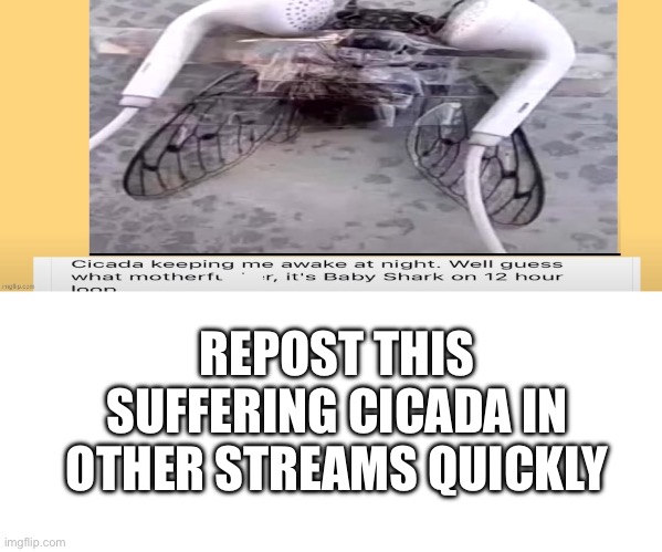 REPOST THIS SUFFERING CICADA IN OTHER STREAMS QUICKLY | image tagged in blank white template | made w/ Imgflip meme maker