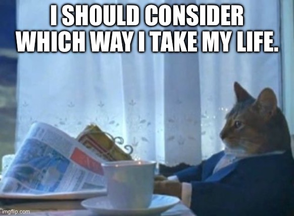 Huh | I SHOULD CONSIDER WHICH WAY I TAKE MY LIFE. | image tagged in memes,i should buy a boat cat | made w/ Imgflip meme maker