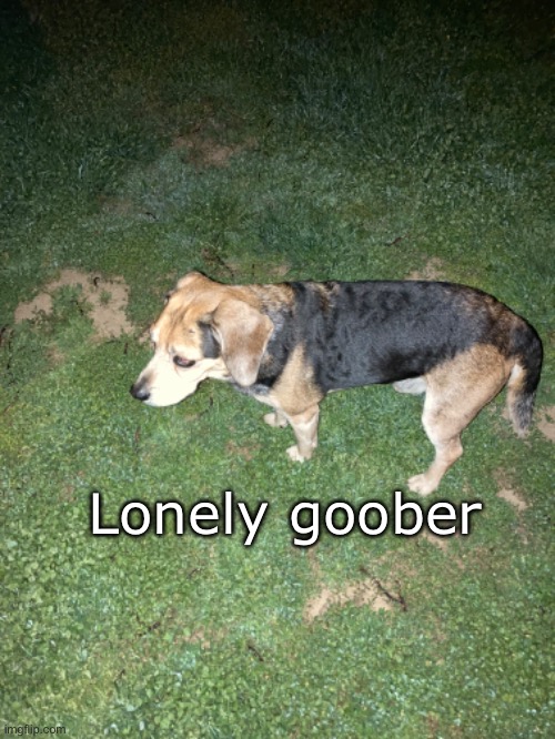 Goober #1: Lonely Goober | Lonely goober | made w/ Imgflip meme maker