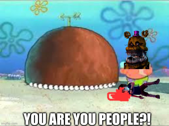 WHO ARE YOU PEOPLE? | YOU ARE YOU PEOPLE?! | image tagged in who are you people | made w/ Imgflip meme maker