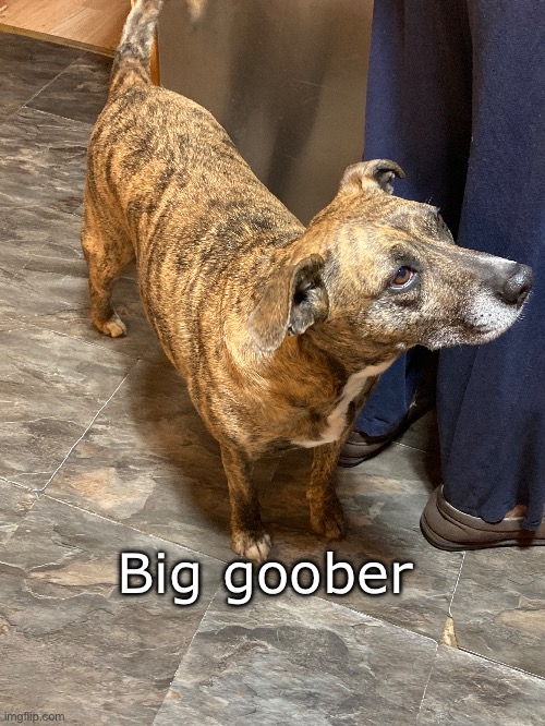 Goober #3: Big Goober | Big goober | made w/ Imgflip meme maker