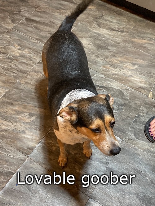 Goober #4: Lovable goober | Lovable goober | made w/ Imgflip meme maker