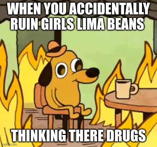 Meme for seedfolks | WHEN YOU ACCIDENTALLY RUIN GIRLS LIMA BEANS; THINKING THERE DRUGS | image tagged in its fine | made w/ Imgflip meme maker
