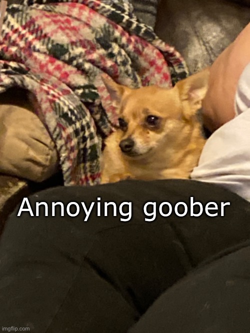 Goober #5: Annoying goober | Annoying goober | made w/ Imgflip meme maker