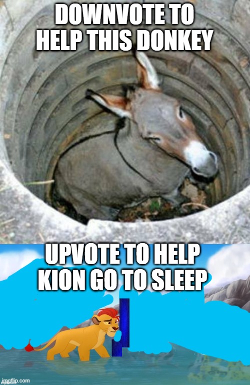 DOWNVOTE TO HELP THIS DONKEY; UPVOTE TO HELP KION GO TO SLEEP | image tagged in donkey in a hole,jackass | made w/ Imgflip meme maker