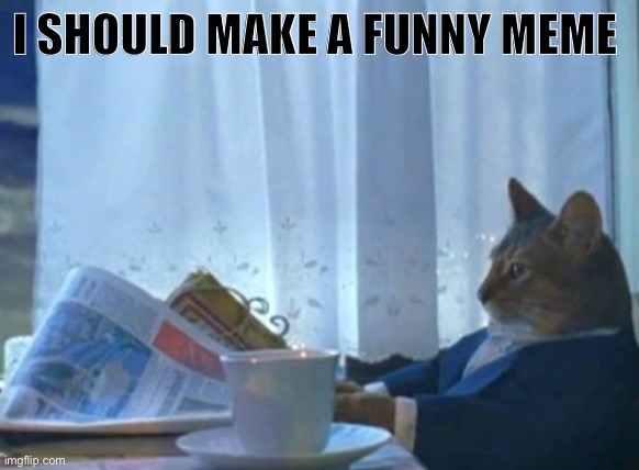 I Should Buy A Boat Cat Meme | I SHOULD MAKE A FUNNY MEME | image tagged in memes,i should buy a boat cat,why are you reading the tags | made w/ Imgflip meme maker
