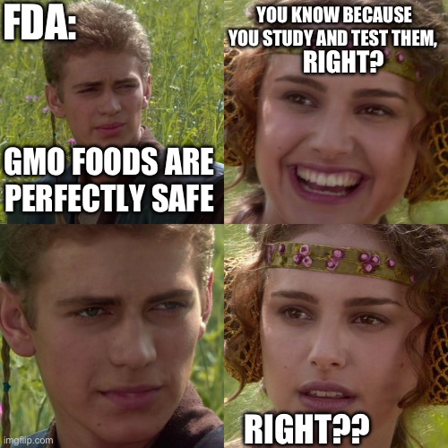 No wonder life expectancy is decreasing in the USA. | FDA:; YOU KNOW BECAUSE YOU STUDY AND TEST THEM, RIGHT? GMO FOODS ARE PERFECTLY SAFE; RIGHT?? | image tagged in anakin padme 4 panel | made w/ Imgflip meme maker