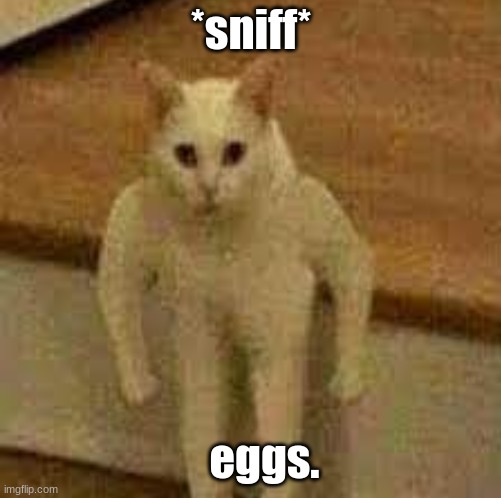 yes | *sniff*; eggs. | image tagged in memes,eggs,goofy ahh | made w/ Imgflip meme maker