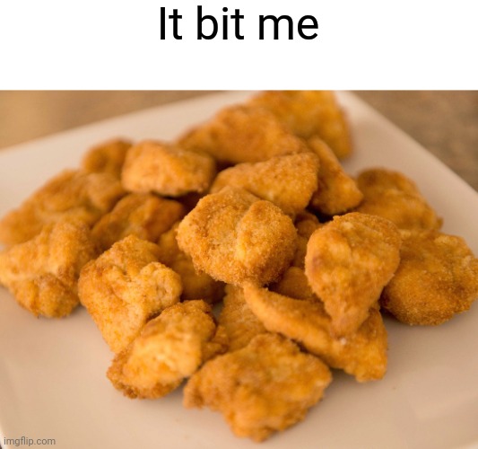 Chicken Nuggets | It bit me | image tagged in chicken nuggets | made w/ Imgflip meme maker