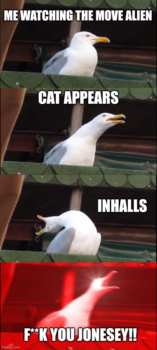 Movie Alien | ME WATCHING THE MOVE ALIEN; CAT APPEARS; INHALLS; F**K YOU JONESEY!! | image tagged in memes,inhaling seagull | made w/ Imgflip meme maker