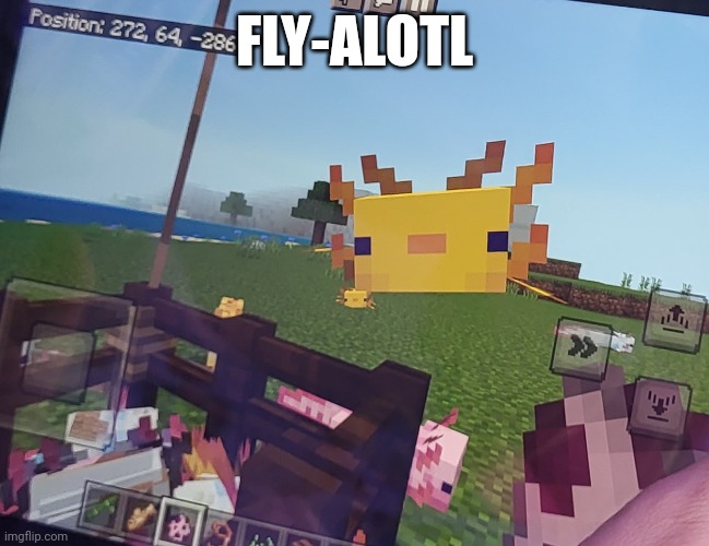Flyalotl | FLY-ALOTL | image tagged in axolotl,minecraft memes,flying | made w/ Imgflip meme maker