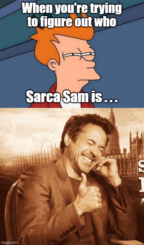 When you're trying to figure out who Sarca Sam is . . . | image tagged in memes,futurama fry,laughing | made w/ Imgflip meme maker