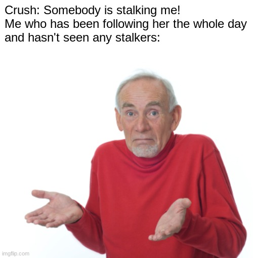What's she talking about? | Crush: Somebody is stalking me!
Me who has been following her the whole day
and hasn't seen any stalkers: | image tagged in guess i'll die,hol up | made w/ Imgflip meme maker