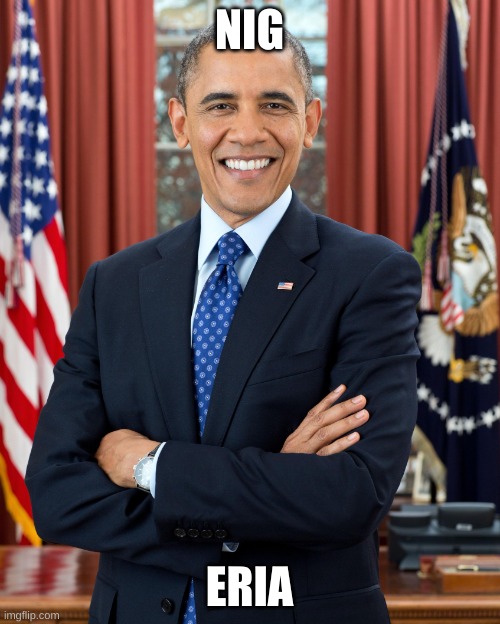 President Obama | NIG ERIA | image tagged in president obama | made w/ Imgflip meme maker