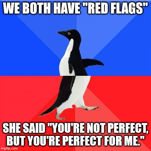 How she won me | WE BOTH HAVE "RED FLAGS"; SHE SAID "YOU'RE NOT PERFECT, BUT YOU'RE PERFECT FOR ME." | image tagged in memes,socially awkward awesome penguin,relationships | made w/ Imgflip meme maker