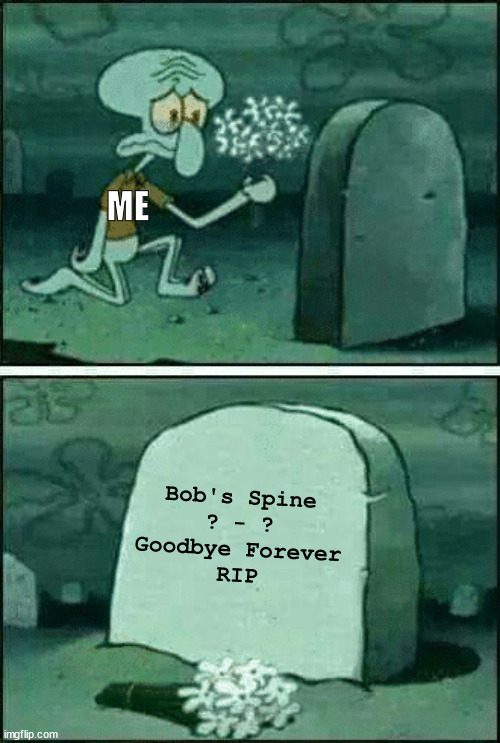 RIP SQUIDWARD | ME Bob's Spine
? - ?
Goodbye Forever
RIP | image tagged in rip squidward | made w/ Imgflip meme maker