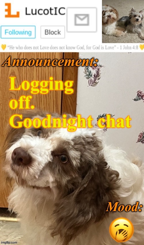 . | Logging off. Goodnight chat; 🥱 | image tagged in lucotic s fangz announcement temp thanks strike | made w/ Imgflip meme maker