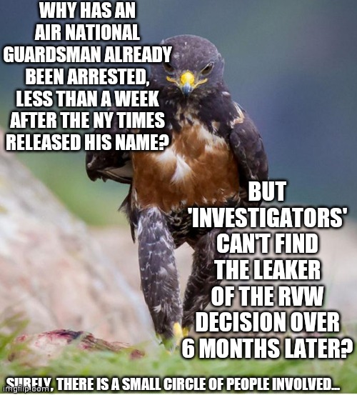 Things That Make You Wonder, Then Wander | WHY HAS AN AIR NATIONAL GUARDSMAN ALREADY BEEN ARRESTED, LESS THAN A WEEK AFTER THE NY TIMES RELEASED HIS NAME? BUT 'INVESTIGATORS' CAN'T FIND THE LEAKER OF THE RVW DECISION OVER 6 MONTHS LATER? SURELY, THERE IS A SMALL CIRCLE OF PEOPLE INVOLVED... | image tagged in wondering wandering falcon,don't call me shirley | made w/ Imgflip meme maker