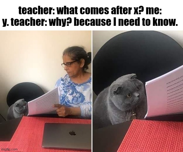if you don't get it its because why sounds like y | teacher: what comes after x? me: y. teacher: why? because I need to know. | image tagged in woman showing paper to cat | made w/ Imgflip meme maker