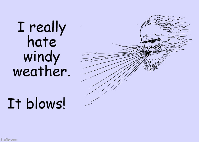I Really Hate Windy Weather | I really hate windy weather. It blows! | image tagged in weather,wind,windy,blows,funny,memes | made w/ Imgflip meme maker