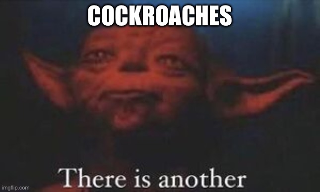 yoda there is another | COCKROACHES | image tagged in yoda there is another | made w/ Imgflip meme maker
