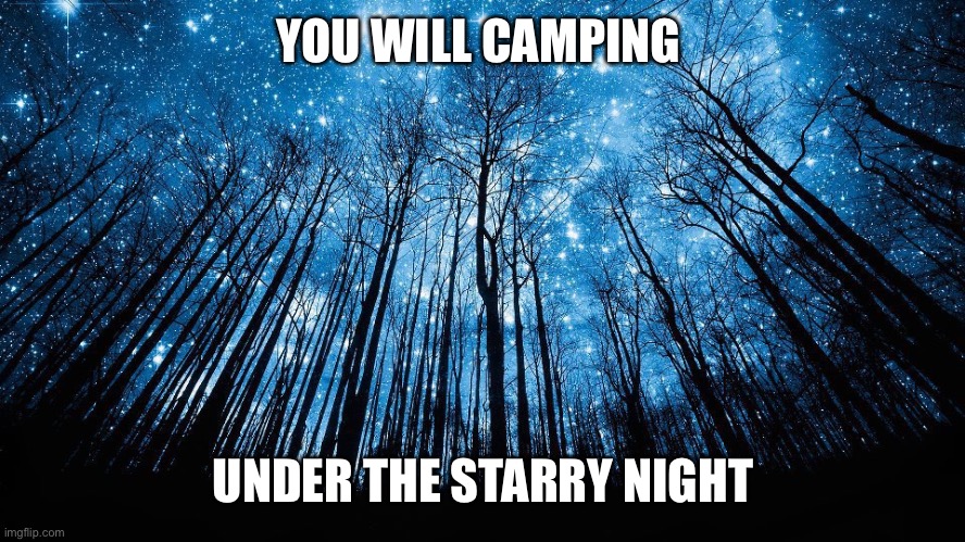 Starry Night | YOU WILL CAMPING UNDER THE STARRY NIGHT | image tagged in starry night | made w/ Imgflip meme maker