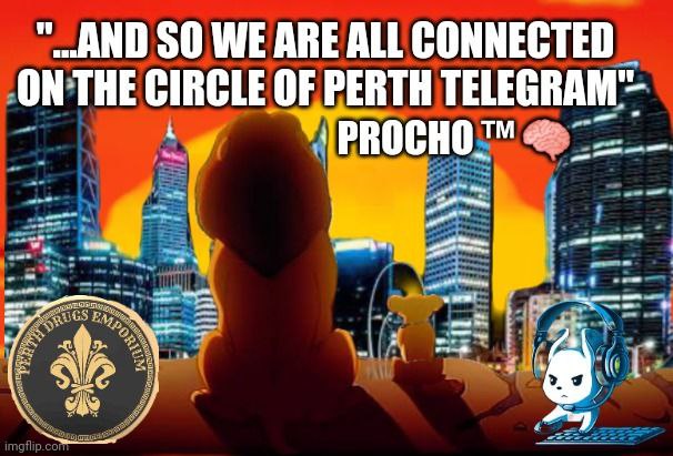 The Lion King Everything the Light Touchs Emporium Perth Telegra Blank Meme Template