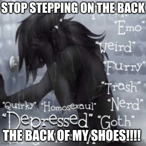 STOP IT [this is so ironic for all you extra-chromosome-havers out there] | STOP STEPPING ON THE BACK; THE BACK OF MY SHOES!!!! | image tagged in bob jones,quirky,shoes,furry,emo,nerd | made w/ Imgflip meme maker