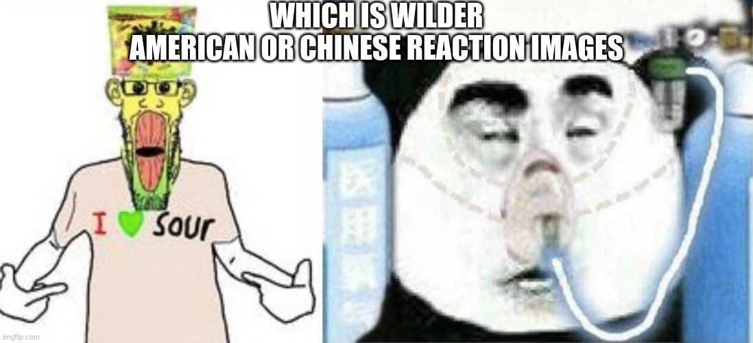 WHICH IS WILDER
AMERICAN OR CHINESE REACTION IMAGES | made w/ Imgflip meme maker