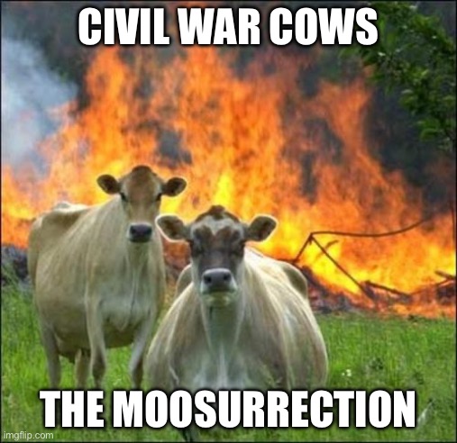 The moosurrection | CIVIL WAR COWS; THE MOOSURRECTION | image tagged in memes,evil cows | made w/ Imgflip meme maker