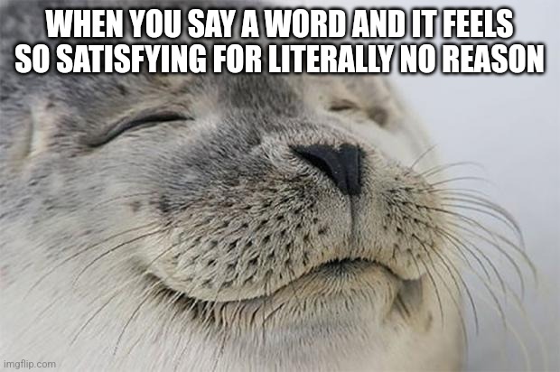 What is the most satisfying word you can think of??? | WHEN YOU SAY A WORD AND IT FEELS SO SATISFYING FOR LITERALLY NO REASON | image tagged in memes,satisfied seal | made w/ Imgflip meme maker