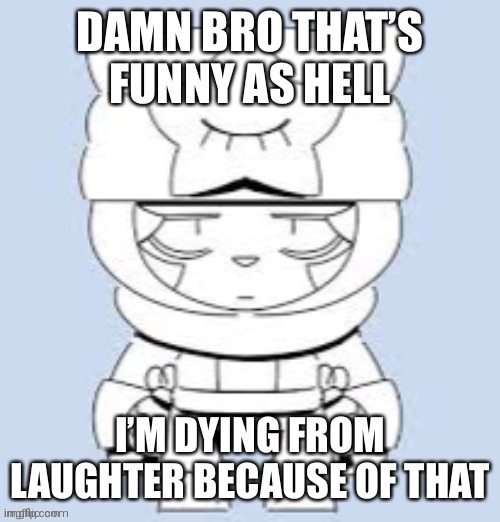 Posting this here because I'm banned from Unsubmitted Images | image tagged in damn bro that s funny as hell i m dying from laughter | made w/ Imgflip meme maker