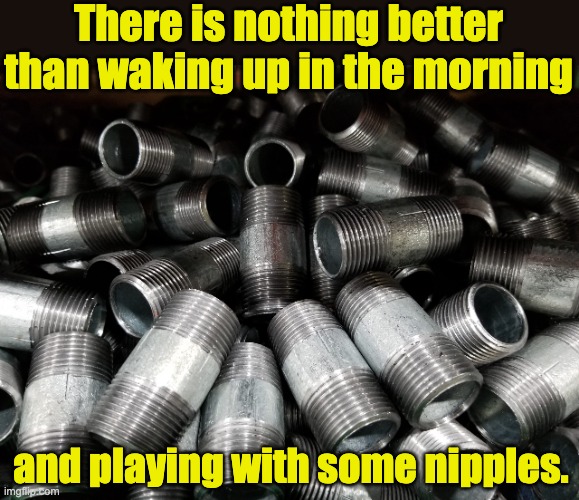 Plumber humor | There is nothing better than waking up in the morning; and playing with some nipples. | image tagged in bad pun | made w/ Imgflip meme maker