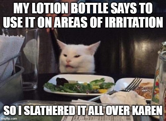 Salad cat | MY LOTION BOTTLE SAYS TO USE IT ON AREAS OF IRRITATION; SO I SLATHERED IT ALL OVER KAREN | image tagged in salad cat,meme,memes,funny | made w/ Imgflip meme maker