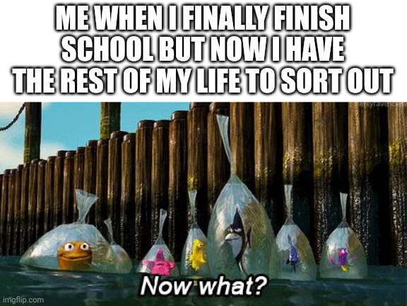 Now what? | ME WHEN I FINALLY FINISH SCHOOL BUT NOW I HAVE THE REST OF MY LIFE TO SORT OUT | image tagged in now what | made w/ Imgflip meme maker
