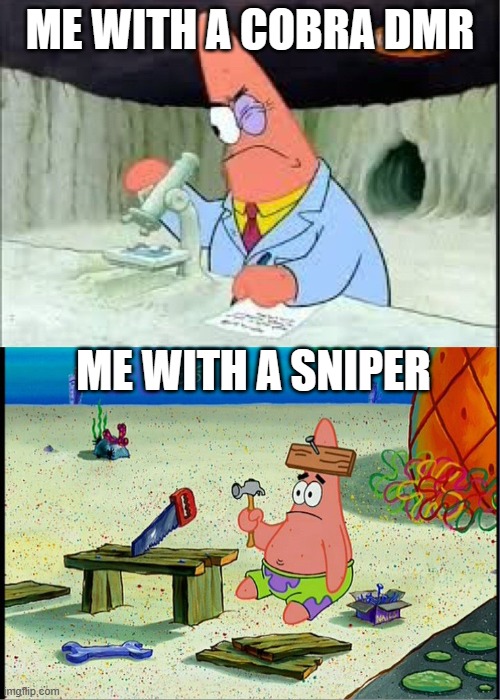 PAtrick, Smart Dumb | ME WITH A COBRA DMR; ME WITH A SNIPER | image tagged in patrick smart dumb | made w/ Imgflip meme maker