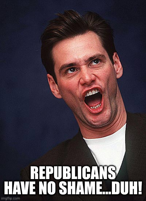 jim carrey duh  | REPUBLICANS HAVE NO SHAME...DUH! | image tagged in jim carrey duh | made w/ Imgflip meme maker