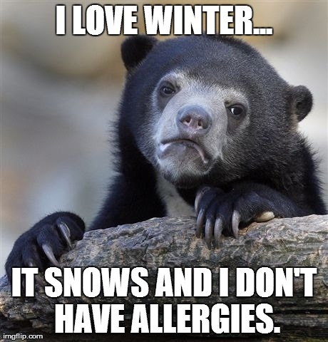 Confession Bear Meme | I LOVE WINTER... IT SNOWS AND I DON'T HAVE ALLERGIES. | image tagged in memes,confession bear,AdviceAnimals | made w/ Imgflip meme maker