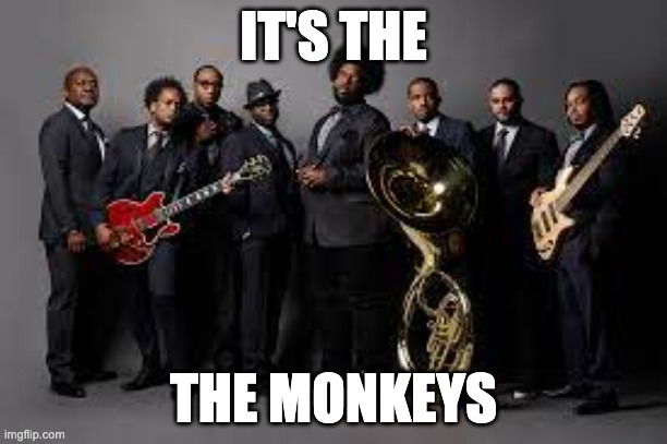 I found the monkeys | IT'S THE; THE MONKEYS | image tagged in monkey | made w/ Imgflip meme maker