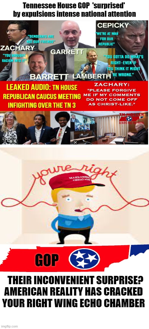 Their inconvenient reality | Tennessee House GOP  'surprised'  by expulsions intense national attention; GOP; THEIR INCONVENIENT SURPRISE?
AMERICAN REALITY HAS CRACKED 
YOUR RIGHT WING ECHO CHAMBER | image tagged in gop,maga,denial,reality,politics | made w/ Imgflip meme maker