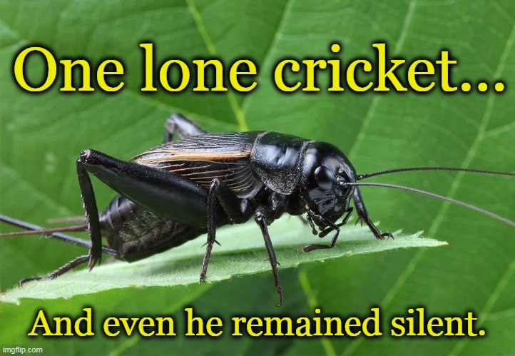 One lone cricket... And even he remained silent. | made w/ Imgflip meme maker