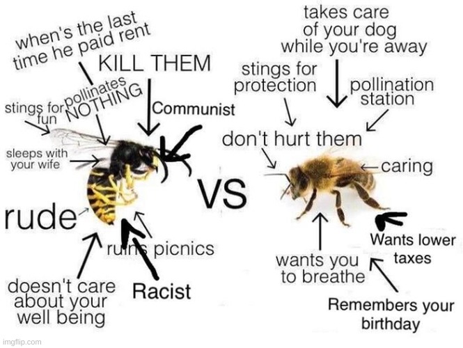 Wasps Vs Bees | image tagged in wasps,bees,memes,funny | made w/ Imgflip meme maker
