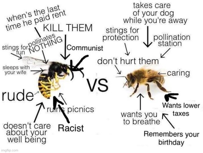 Wasps Vs Bees | image tagged in wasps,bees | made w/ Imgflip meme maker