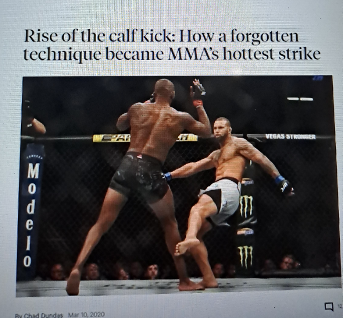 Calf kick Blank Meme Template