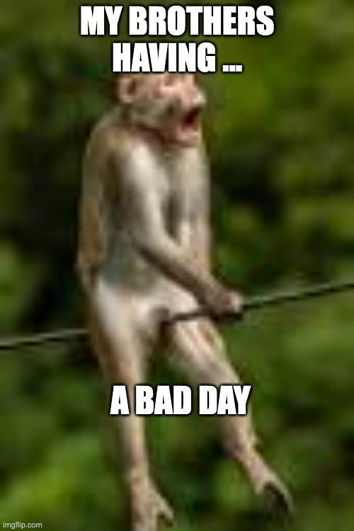 bad day | MY BROTHERS HAVING ... A BAD DAY | image tagged in nuts hit wire | made w/ Imgflip meme maker