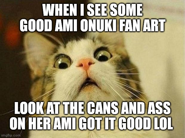 I always love seeing some good Ami fan art | WHEN I SEE SOME GOOD AMI ONUKI FAN ART; LOOK AT THE CANS AND ASS ON HER AMI GOT IT GOOD LOL | image tagged in memes,scared cat,funny memes | made w/ Imgflip meme maker