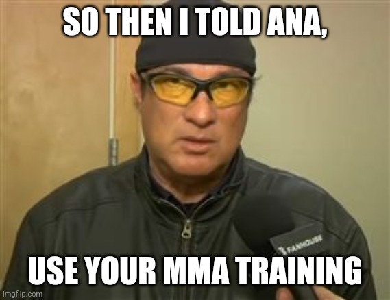 Steven Seagal MMA | SO THEN I TOLD ANA, USE YOUR MMA TRAINING | image tagged in steven seagal mma | made w/ Imgflip meme maker