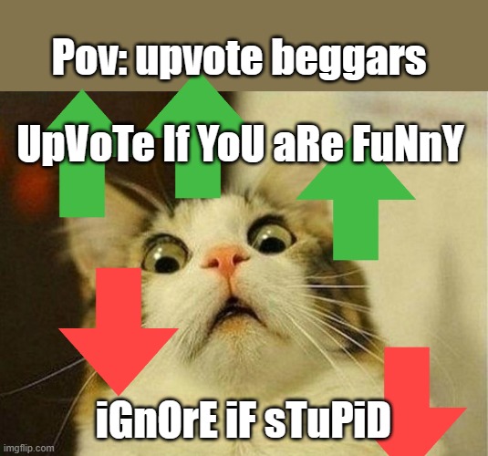 Scared Cat Meme | Pov: upvote beggars; UpVoTe If YoU aRe FuNnY; iGnOrE iF sTuPiD | image tagged in memes,scared cat | made w/ Imgflip meme maker